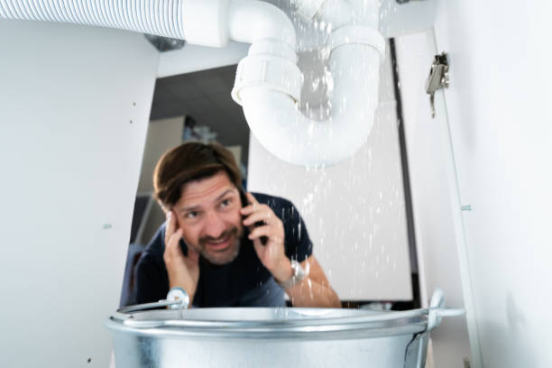 Best Plumbing Inspection Services  in Atwater, MN